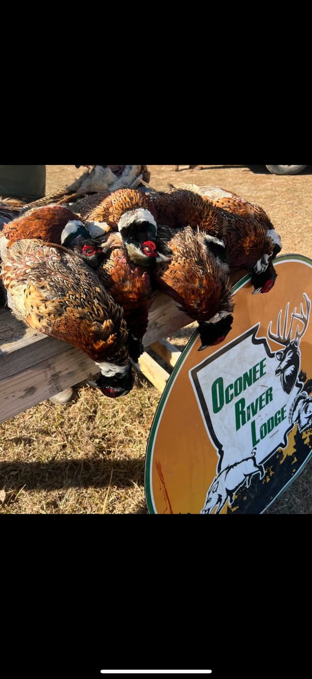 Lodge gallery image 3