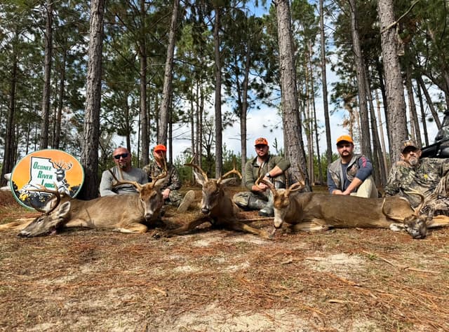 Lodge gallery image 6