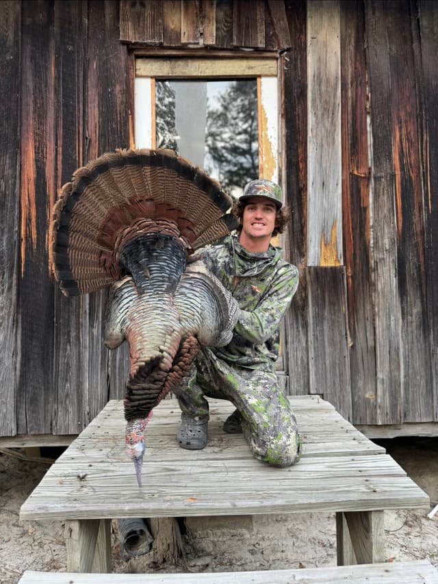 Lodge gallery image 9