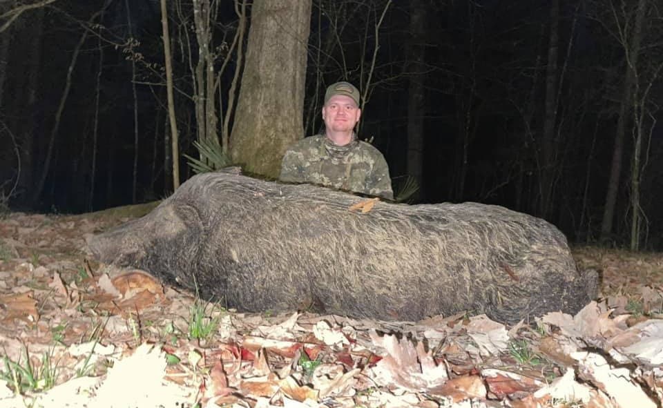 Trophy hog 2