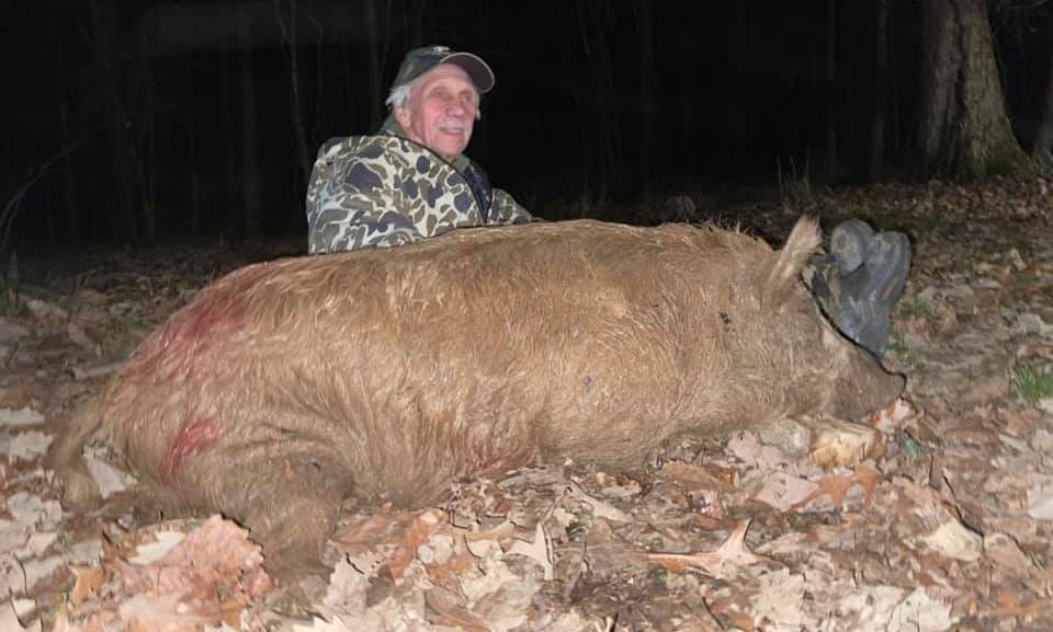 Trophy hog 3