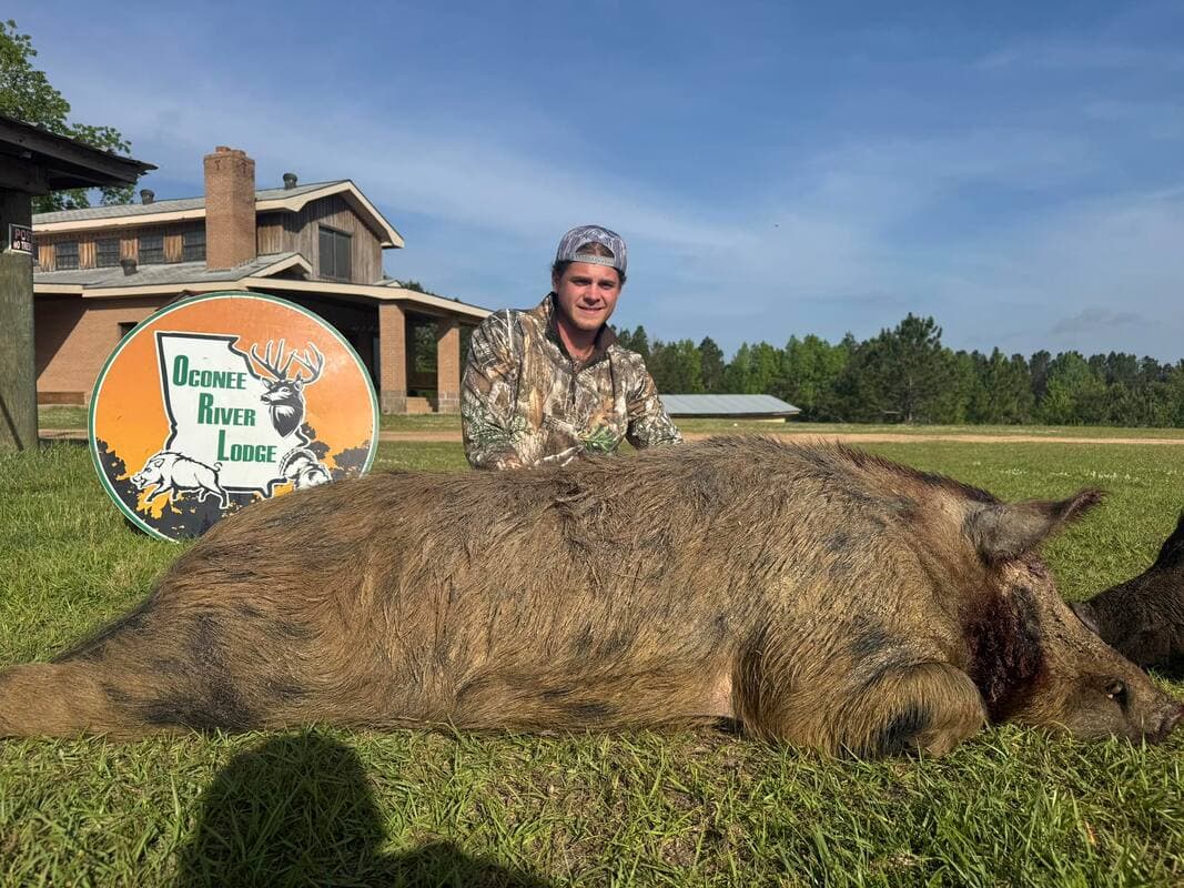 HOG HUNTING