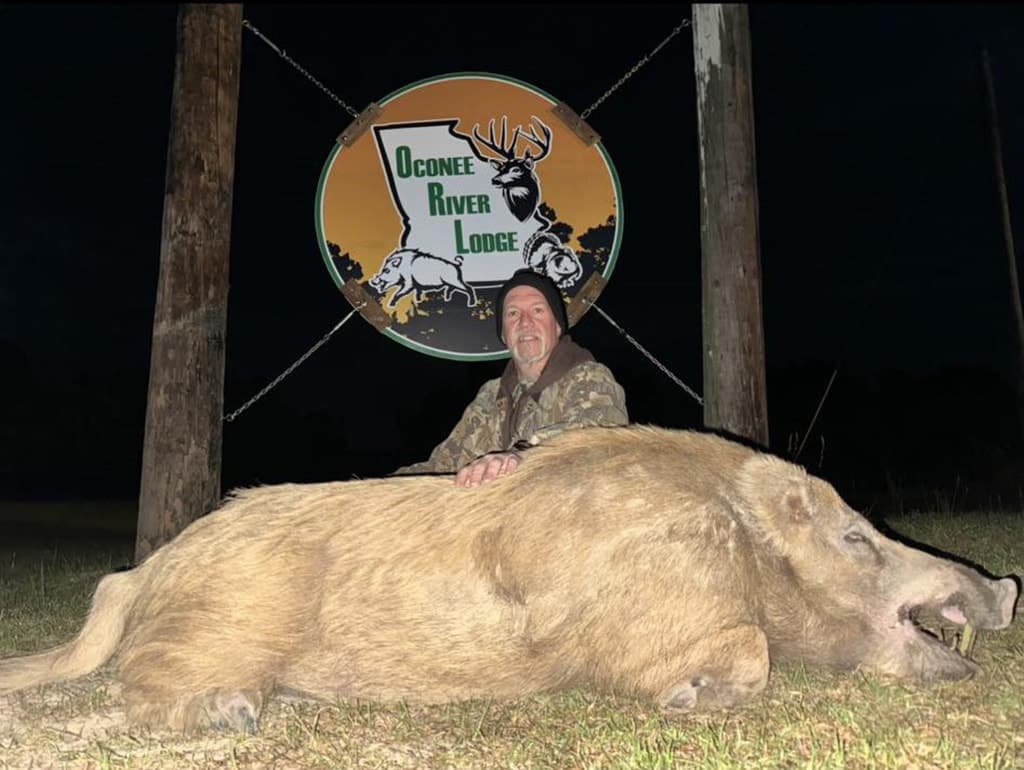 Trophy hog 1