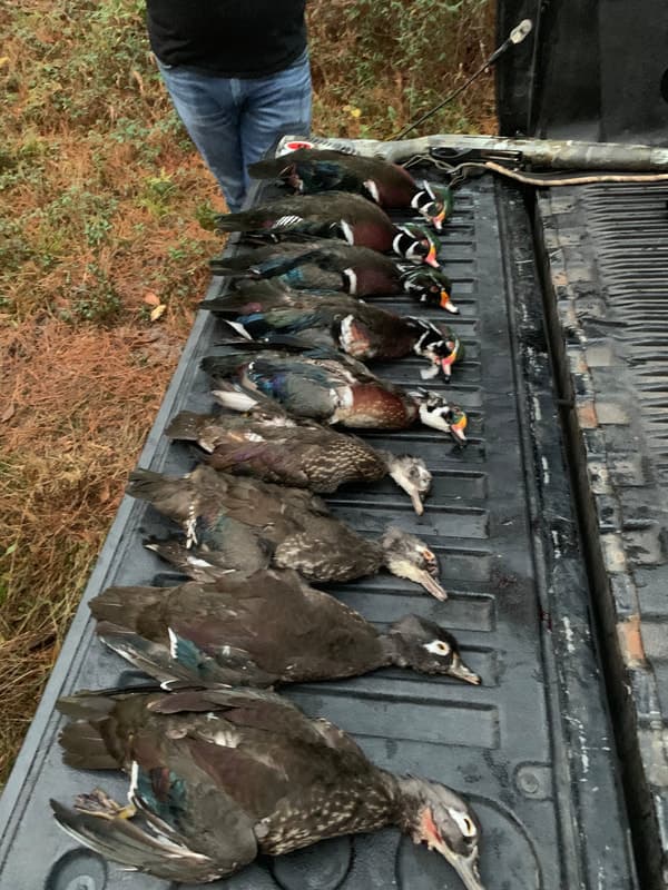 Duck hunting success 2